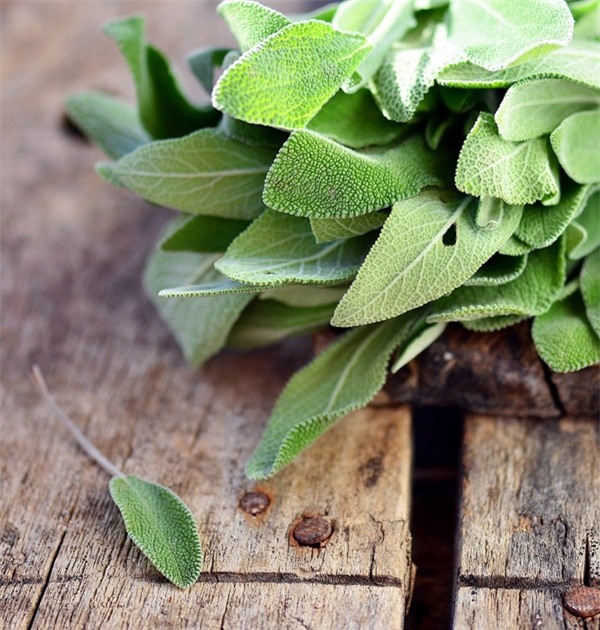 9 cách khử mùi hôi chân cực hiệu quả bằng nguyên liệu rẻ tiền