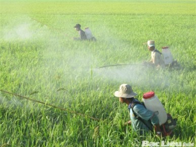 thuốc trừ sâu, nhập thuốc trừ sâu Trung Quốc, Việt Nam tự đầu độc chính mình
