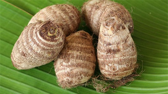 Chữa viêm dạ dày - ruột ngay trong căn bếp nhà bạn - Ảnh 3.