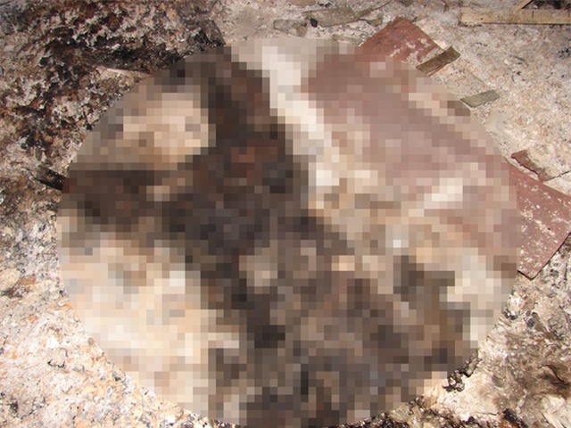 Nghi án chồng thiêu sống vợ rồi treo cổ tự tử trong chuồng heo - Ảnh 2.