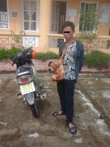 Xôn xao hình ảnh