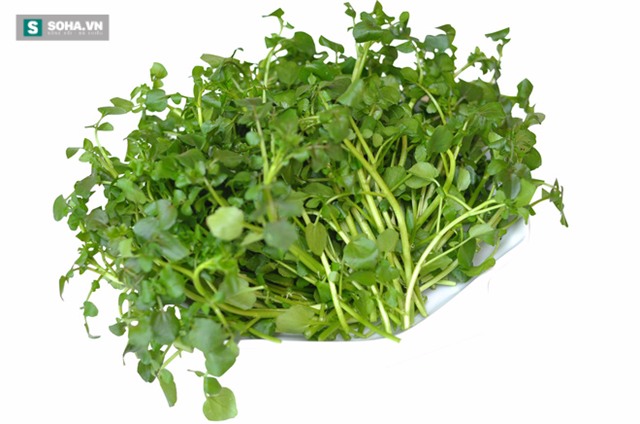 Chuyên gia mách 3 loại thực phẩm chữa hôi miệng cực kỳ hiệu quả - Ảnh 3.