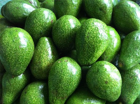 Tác hại của quả bơ mà ít người để ý - Ảnh 3.