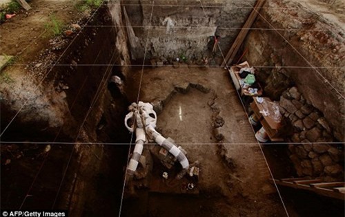 Phát hiện hóa thạch voi Mamút vạn năm tuổi dưới lòng đường - 2