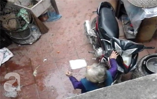 ngược đãi cha mẹ