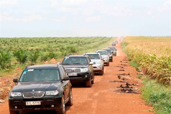 Dai gia giau nhat Viet Nam lan luot dat nhau lam nong nghiep hinh anh 1