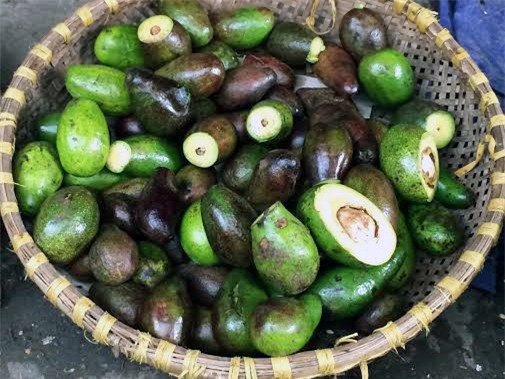 hoa quả thối, kỹ nghệ gọt hoa quả thối, chợ đầu mối long biên, dân buôn hoa quả, sinh tố bơ, hoa quả thối thành sinh tố thơm ngon