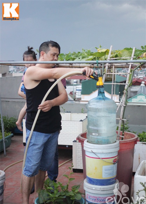 vuon rau tot um cua nhung ong bo viet