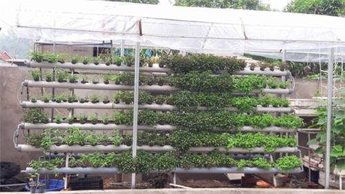 vuon rau tot um cua nhung ong bo viet 