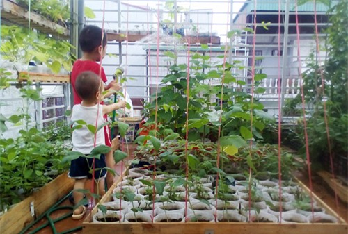 vuon rau tot um cua nhung ong bo viet