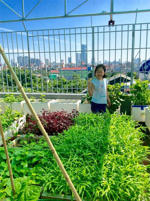 vuon rau tot um cua nhung ong bo viet 