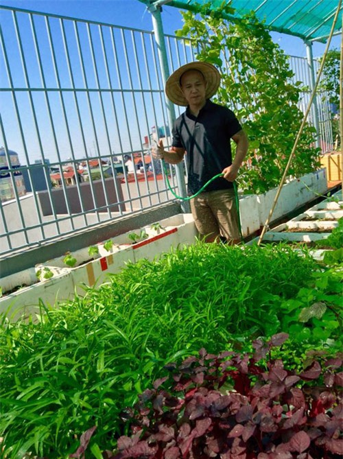 vuon rau tot um cua nhung ong bo viet 