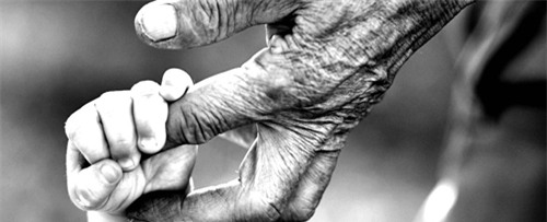 Tháng 7, thuốc chống lão hóa sẽ được thử nghiệm trên người - 1