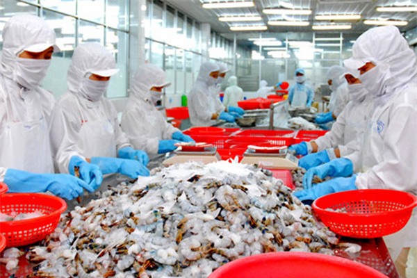 Nông sản, chế biến thực phẩm, thủy hải sản, công nghệ chế biến thực phẩm, đồ uống, hàng tiêu dùng,