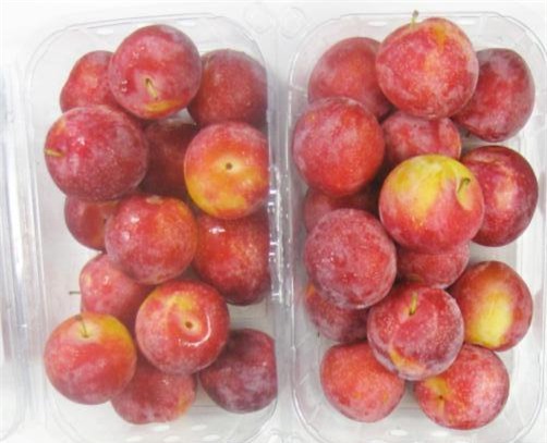 mận mỹ, mận đen mỹ, mận cherry mỹ, mận tam hoa, nhà giàu việt