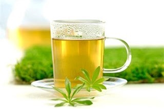 Ngạc nhiên với công dụng chữa bệnh tuyệt vời của lá xoài - Ảnh 1.