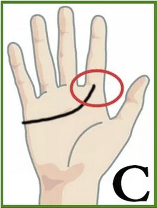 Lựa chọn người yêu để cưới lý tưởng chỉ qua chỉ tay! - Ảnh 5.