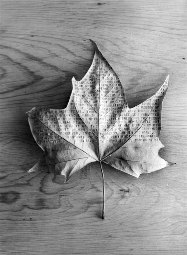 Nói thật đi! Bạn có hiểu hết những bức ảnh này không? - Ảnh 5.