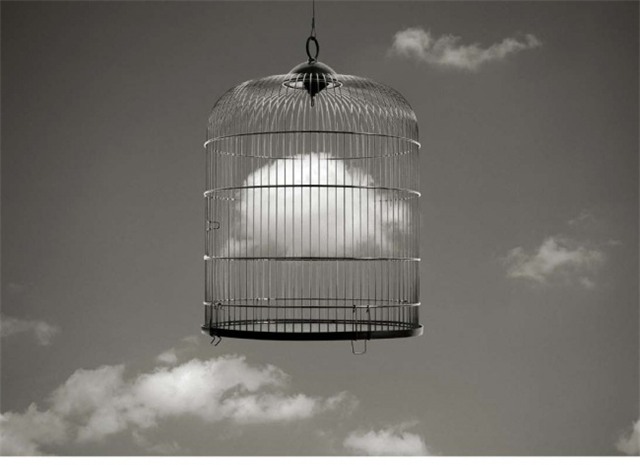 Nói thật đi! Bạn có hiểu hết những bức ảnh này không? - Ảnh 7.