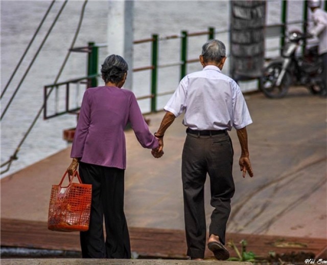 gia cua mot cai nam tay tuoi gia la biet bao giong bao thoi son tre