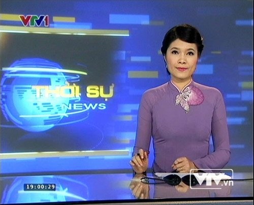 BTV Diệp Anh, VTV