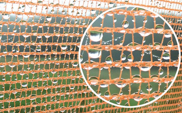 1,1 tỉ người nghèo trên Trái đất sẽ được cứu rỗi bằng phát minh cực kỳ ý nghĩa này - Ảnh 3.