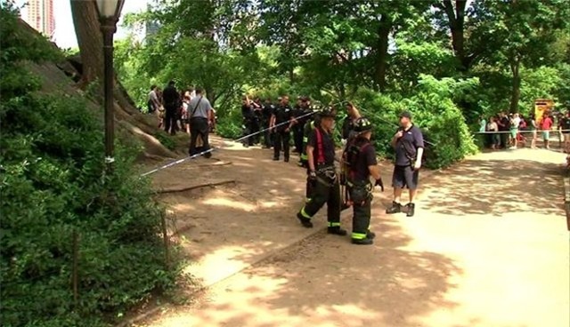 Mỹ, New York, nổ, thiết bị nổ, công viên, đại bác, Ngày Độc lập