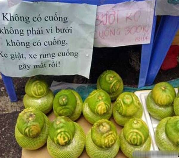 quảng cáo, quảng cáo hài hước, biển quảng cáo ở Ninh Bình