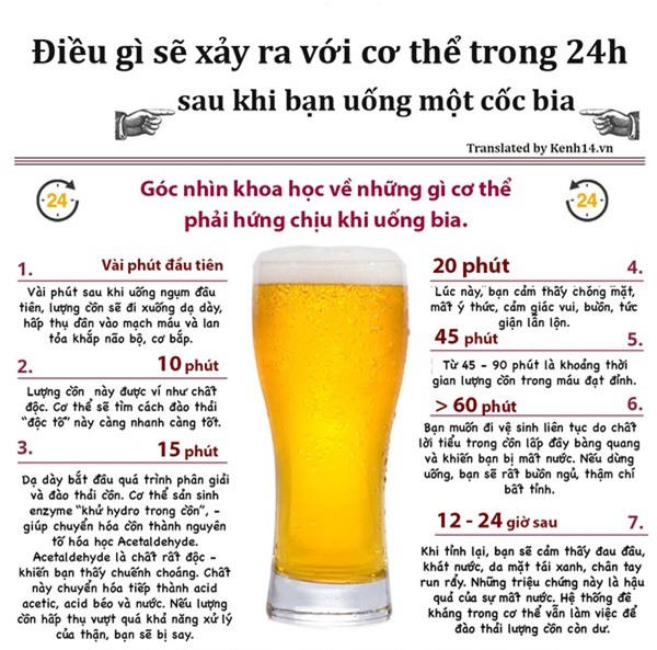 4. Lợi ích của các thành phần trong bia