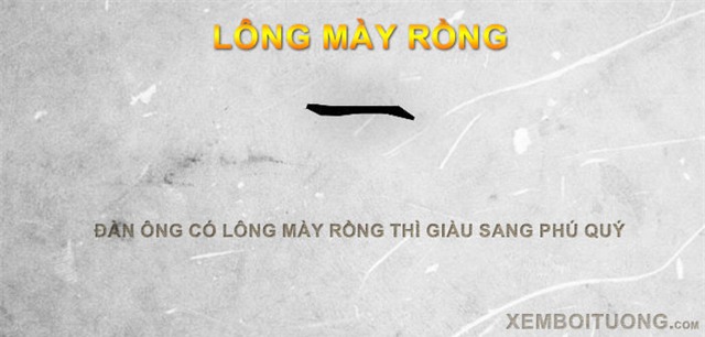 đàn ông có tướng lông mày rồng thì giàu sang phú quý