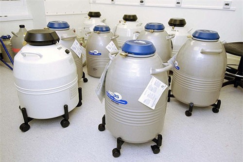 be gai 2 tuoi dong lanh trung de chuan bi sinh con trong tuong lai - 1