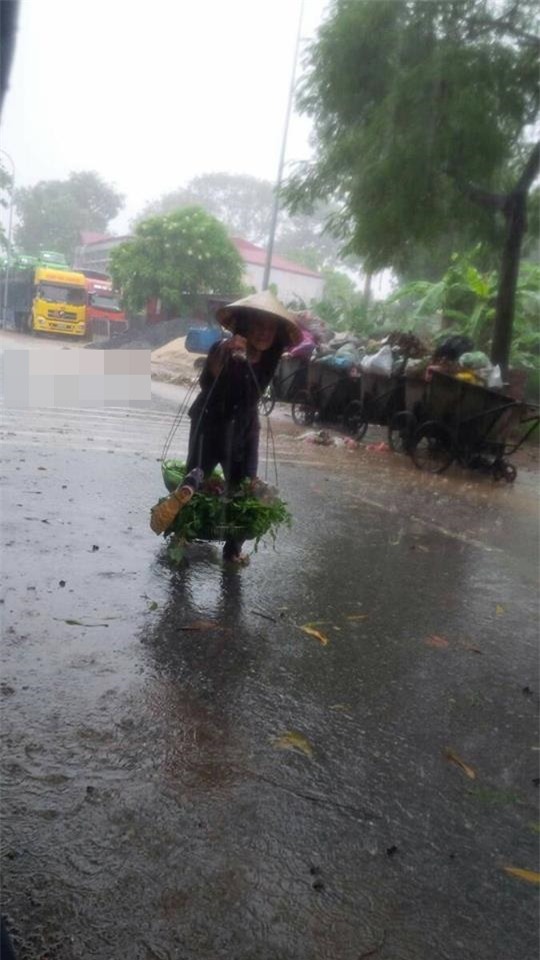 Bức ảnh về bà cụ giữa mưa sẽ đem lại cho bạn sự ấm áp và nhân văn. Những ánh mắt ngưỡng mộ và kính trọng của đám đông đối với bà cụ giữa cơn mưa lớn sẽ khiến bạn nhận ra giá trị của tình người trong xã hội.