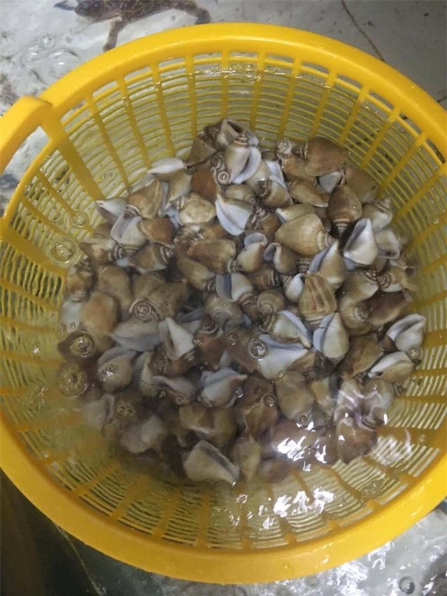 Nồi lẩu hải sản gần 50 triệu dài 2 mét gây sốt ở Cà Mau - Ảnh 5.