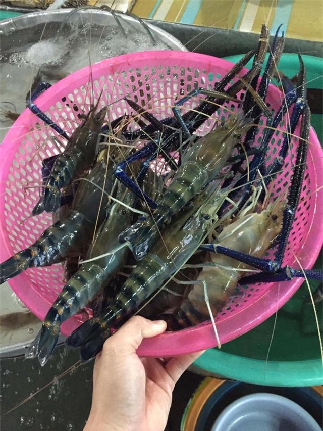 Nồi lẩu hải sản gần 50 triệu dài 2 mét gây sốt ở Cà Mau - Ảnh 6.