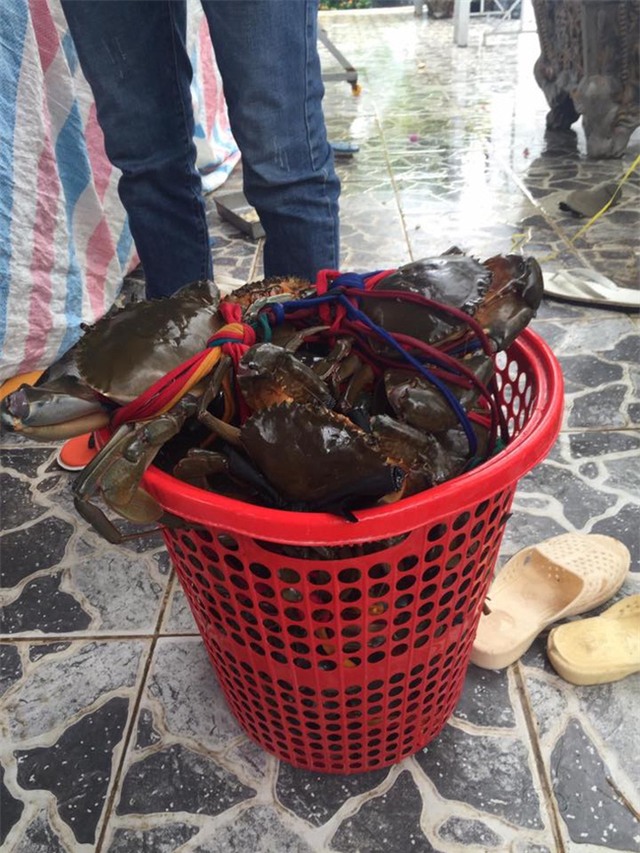 Nồi lẩu hải sản gần 50 triệu dài 2 mét gây sốt ở Cà Mau - Ảnh 7.