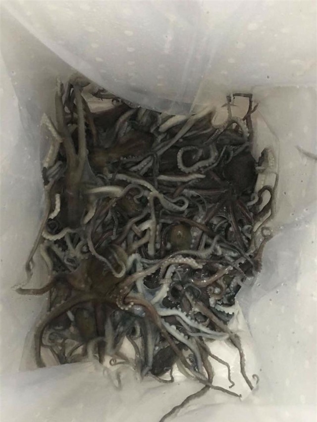 Nồi lẩu hải sản gần 50 triệu dài 2 mét gây sốt ở Cà Mau - Ảnh 8.