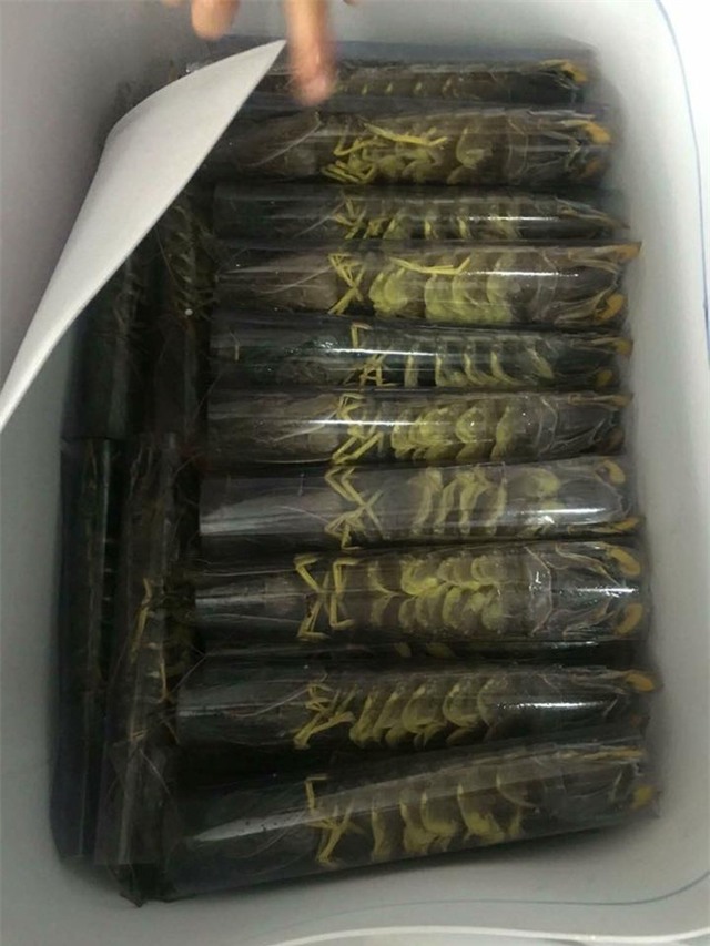 Nồi lẩu hải sản gần 50 triệu dài 2 mét gây sốt ở Cà Mau - Ảnh 9.