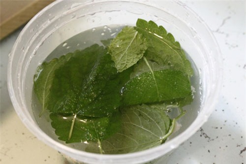 tam-trang-blogtamsu3