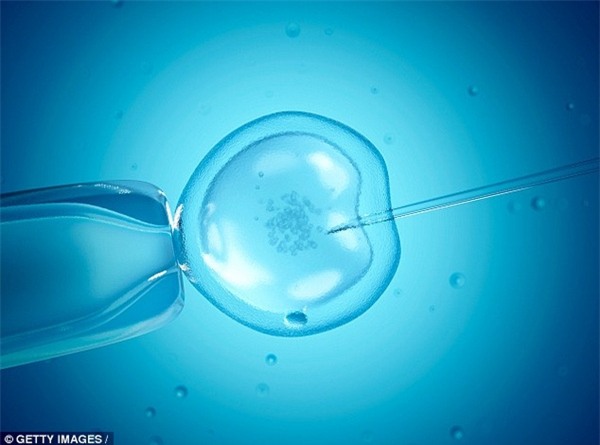 nằm yên sau khi thụ tinh