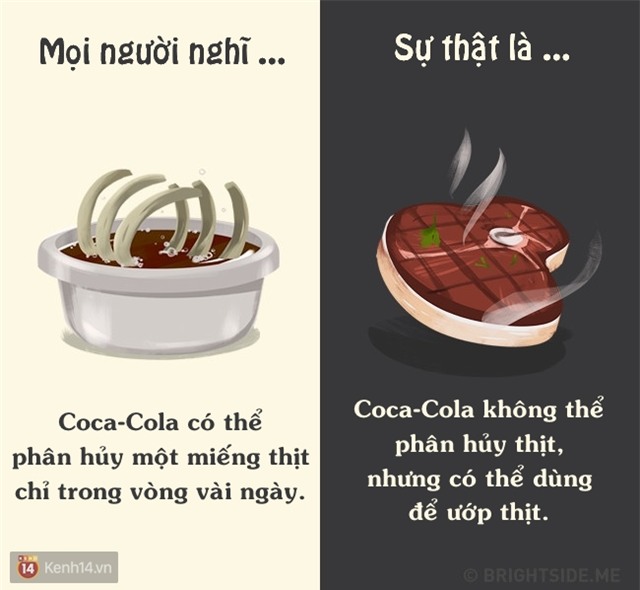 12 sự thật ai cũng nhầm về những đồ uống quen thuộc xung quanh chúng ta - Ảnh 4.