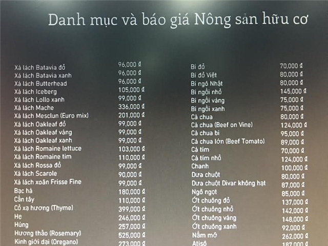 rau hữu cơ, rau organic, trồng rau hữu cơ, nhà giàu Việt, rau hữu cơ giá siêu đắt, rau sạch, rau hữu cơ hà nội, thực phẩm, nhiễm độc, ngộ độc thực phẩm,