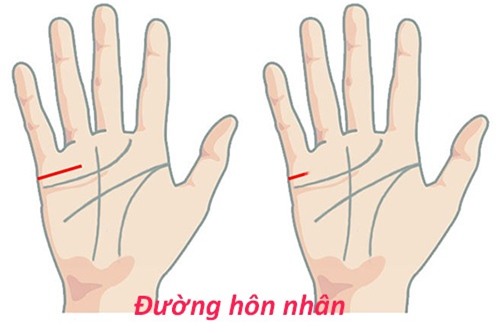 Đoán tuổi lập gia đình, chỉ cần nhìn vào lòng bàn tay - Ảnh 1.
