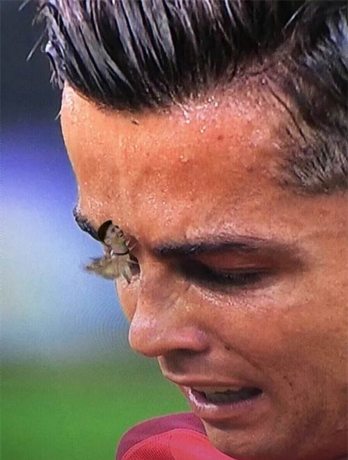 Ảnh chế Euro: Messi khóc nức nở nhìn Ronaldo đoạt cúp - 4