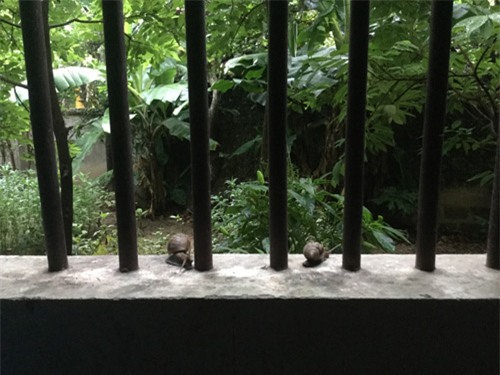 bo anh 1 ngay cua nu sinh viet nam duoc nghi he gay bao mang quoc te - 3