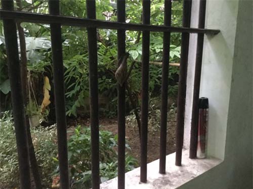 bo anh 1 ngay cua nu sinh viet nam duoc nghi he gay bao mang quoc te - 4