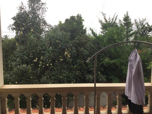 bo anh 1 ngay cua nu sinh viet nam duoc nghi he gay bao mang quoc te - 10