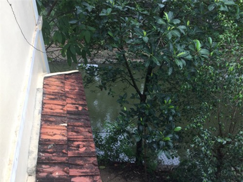 bo anh 1 ngay cua nu sinh viet nam duoc nghi he gay bao mang quoc te - 12