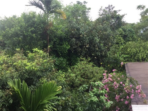 bo anh 1 ngay cua nu sinh viet nam duoc nghi he gay bao mang quoc te - 13