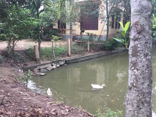 bo anh 1 ngay cua nu sinh viet nam duoc nghi he gay bao mang quoc te - 17