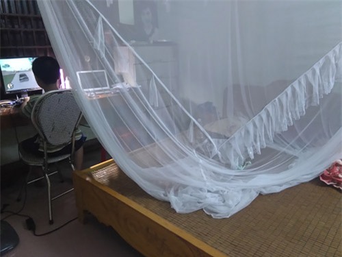 bo anh 1 ngay cua nu sinh viet nam duoc nghi he gay bao mang quoc te - 9